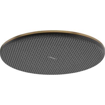 Raindance Alive S 24520140 Верхний душ ø 300 мм, шлифованная бронза