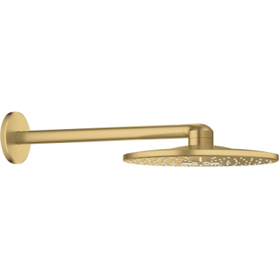 Rainshower SmartActive 26475GN0 Верхний душ со стены ø 310 мм 2jet, холодный рассвет, матовый