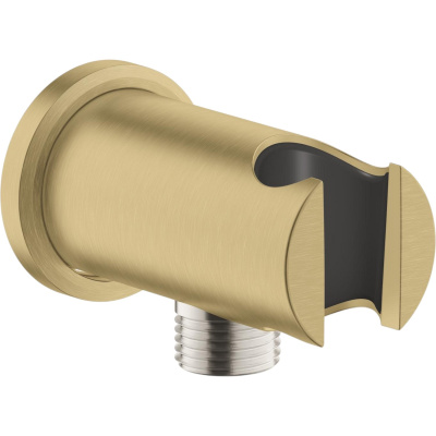 Rainshower 26658GN0 Шланговое подключение с держателем, холодный рассвет, матовый