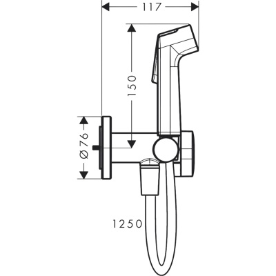 Bidette S 29232340 Гигиенический душ со смесителем, шлифованный чёрный хром