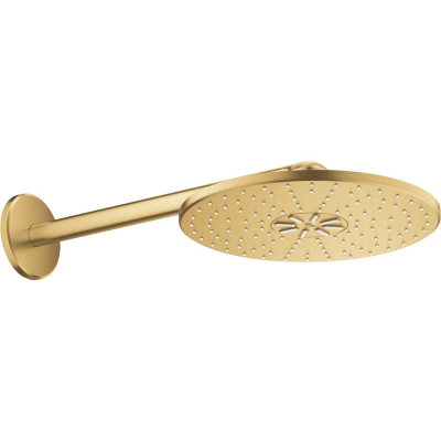 Rainshower SmartActive 26475GN0 Верхний душ со стены ø 310 мм 2jet, холодный рассвет, матовый